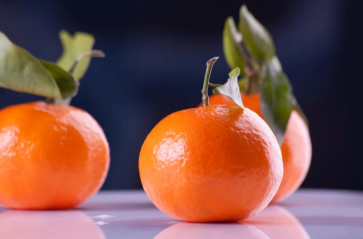 Arance e clementine, gli agrumi alla base di arancello e mandarinetto